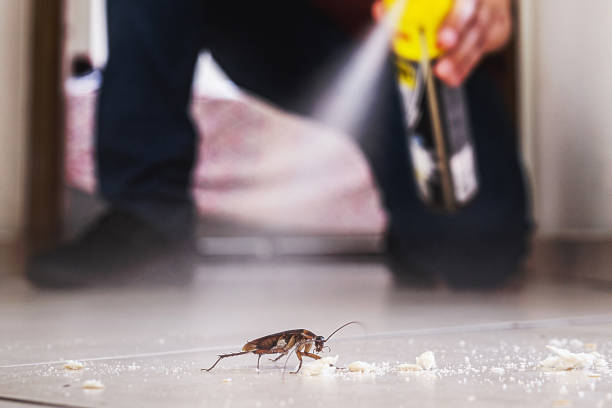 Best Best Pest Control Companies  in Pine Ridge, FL